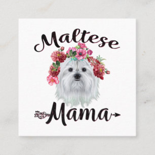 Hund  Niedliche maltesische Mama Hund Blume Floren Quadratische Visitenkarte