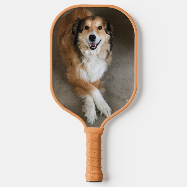 Hund Pickleball Schläger (Vorderseite)