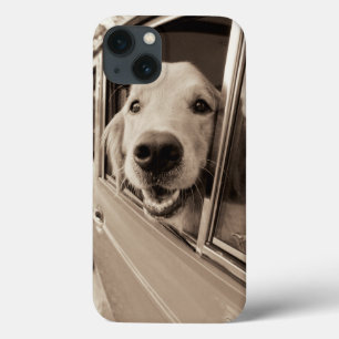 Hund pissen aus einem Autofenster title_seo2