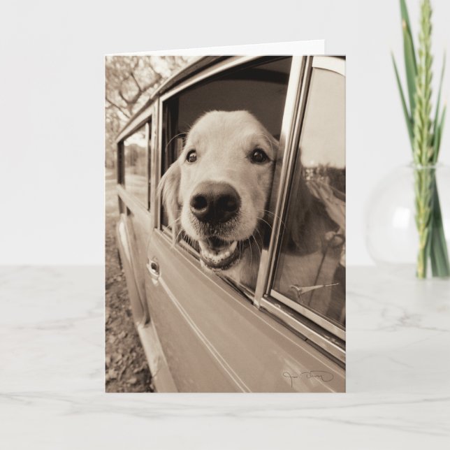Hund pissen aus einem Autofenster Karte (Vorderseite)