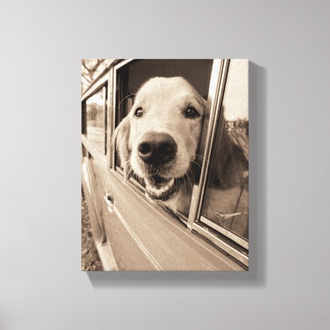 Hund pissen aus einem Autofenster Leinwanddruck (Vorderseite)