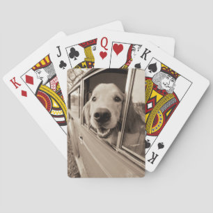 Hund pissen aus einem Autofenster Spielkarten