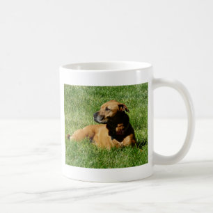 Hund, pitbull/Boxermischung Kaffeetasse