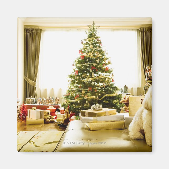 Hund posiert vor Weihnachtsbaum Magnet (Vorne)