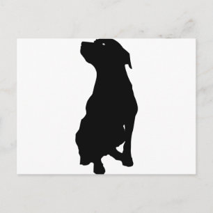 Hund Postkarte