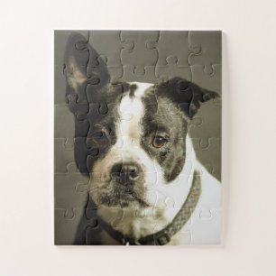 HUND PUZZLE, SCHWARZ UND WEISS
