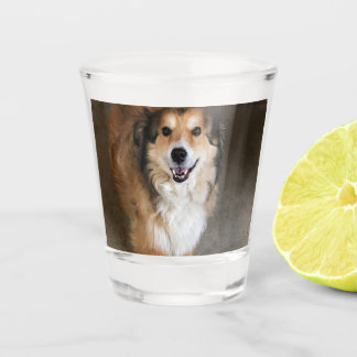 Hund Schnapsglas