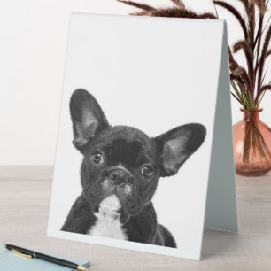 Hund  Schwarzer Französischer Bulldogge Tischaufsteller