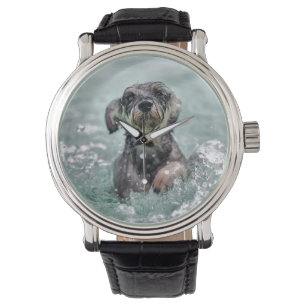 Hund schwimmt Hundeschwimmen Armbanduhr