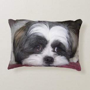 Hund Shih Tzu Dekokissen