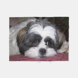 Hund Shih Tzu Fleecedecke