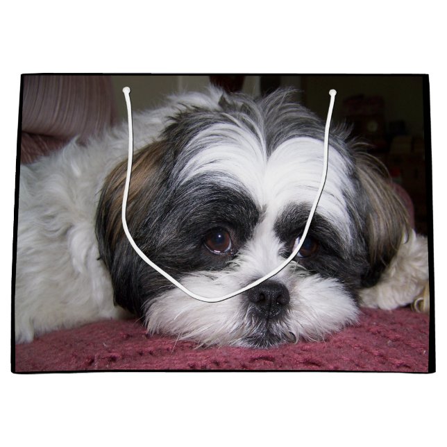 Hund Shih Tzu Große Geschenktüte (Vorderseite)