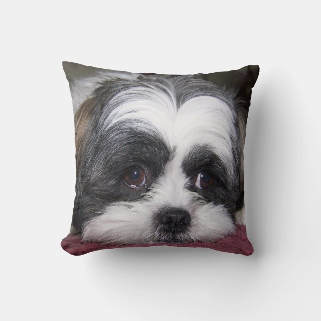 Hund Shih Tzu Kissen (Vorderseite)