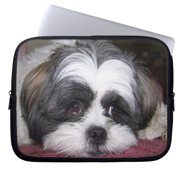 Hund Shih Tzu Laptopschutzhülle (Vorderseite)