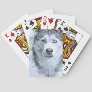 Hund Siberian Husky Zeichnung Schlittenhund OtterB Spielkarten