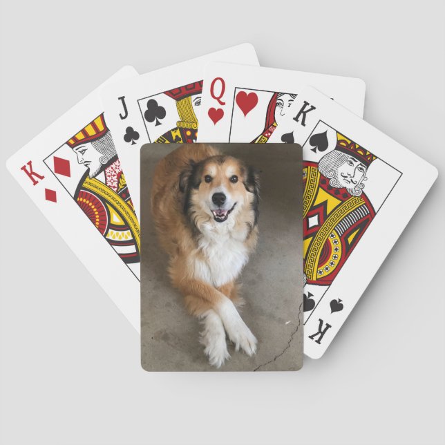 Hund Spielkarten (Rückseite)