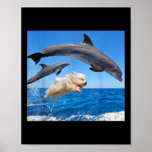 Hund springt mit Delfin für Männer Frauen  Poster