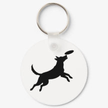 Hund springt, um eine Frisbeescheibe zu fangen
