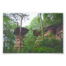Hund springt von Stand Rock in Wisconsin Dells