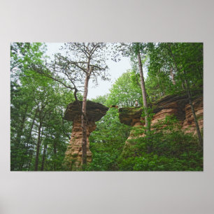 Hund springt von Stand Rock in Wisconsin Dells Poster