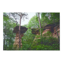 Hund springt von Stand Rock in Wisconsin Dells