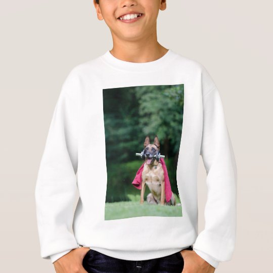Hund Sweatshirt