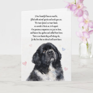 Hund Sympathie Neufundländer Newfie Beileid Karte