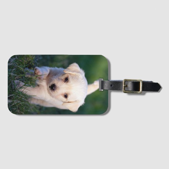 Hund, Tier, Welpe Gepäckanhänger (Vorderseite (Horizontal))