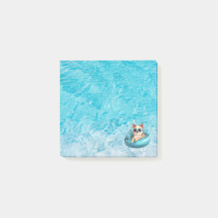 Hund trägt Sonnenbrille im Pool Post-it Klebezettel