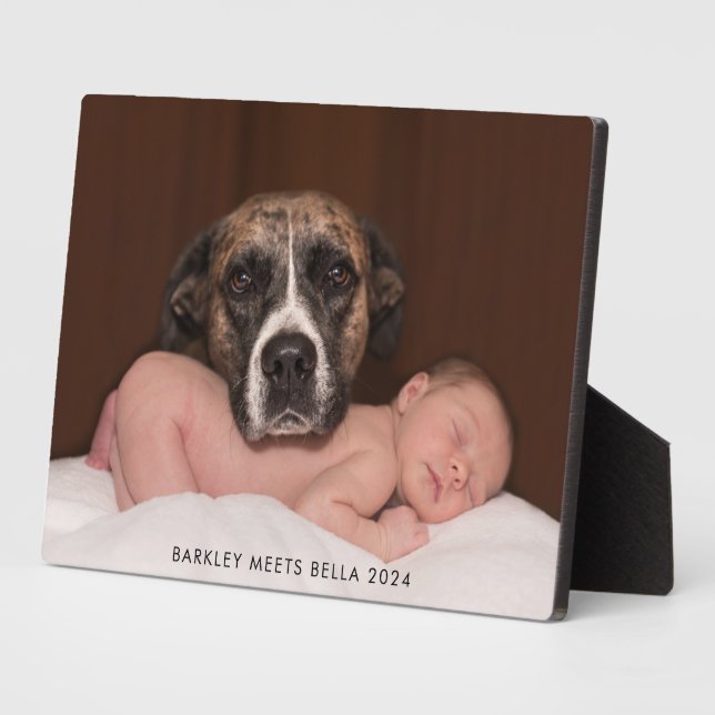 Hund trifft neues Baby Fotoplatte (Seite)