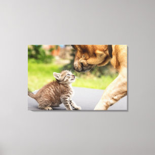 Hund u. Katze Getty Bild- in der Liebe Leinwanddruck
