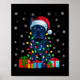 Hund Ugly Xmas Lights Weihnachtsmannmütze Cane Cor Poster