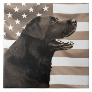 Hund und amerikanische Flagge Fliese