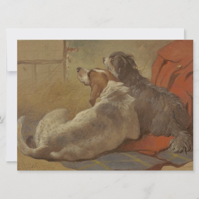 Hund und Bartollie (zwei Hunde) (Tiere) Karte (Vorderseite)