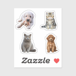 Hund und Katze Aufkleber