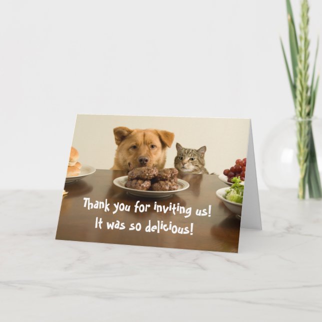 Hund und Katze, der Hund und die Katze danken dir  Dankeskarte (Vorderseite)