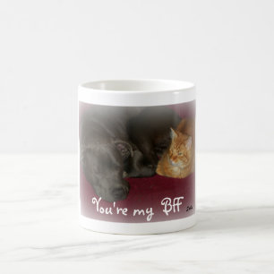 Hund und Katze Freunde für immer Tasse