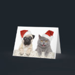 Hund und Katze in Red Christmas Hat Feiertagskarte<br><div class="desc">Katze und Hund in rot Weihnachtshut auf weißem Hintergrund © und ® Bigstock® - Alle Rechte vorbehalten.</div>