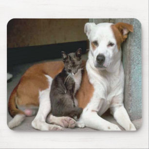 Hund und Katze Mousepad