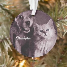 Hund und Katze, Personalisiert nachsehen Ornament