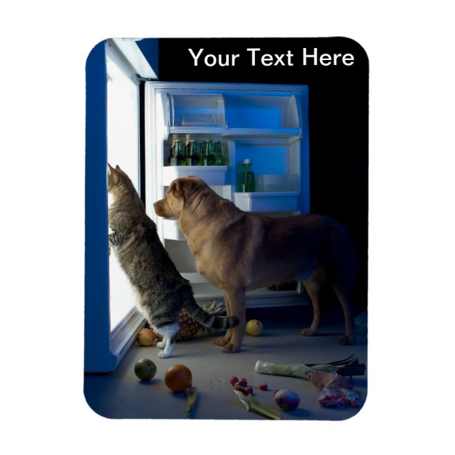 Hund und Katze Zuhause alleine um Mitternacht Haus Magnet (Vertikal)