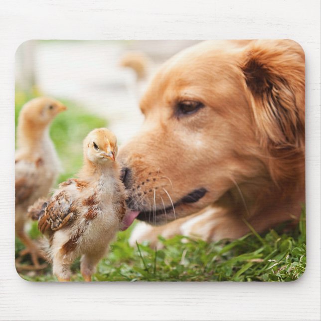 Hund und Küken Mousepad (Vorne)