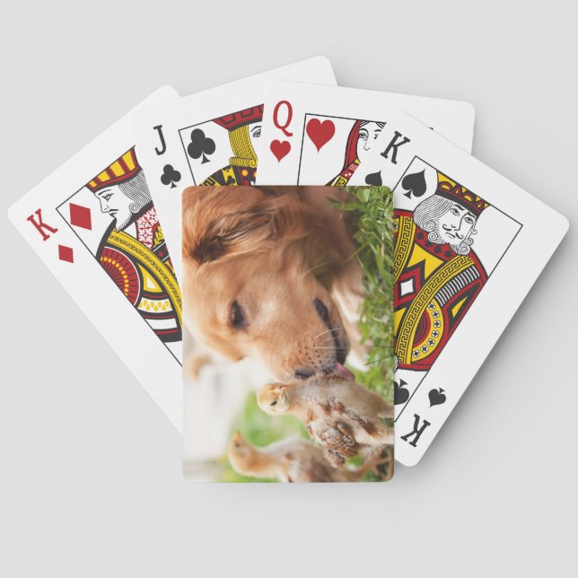 Hund und Küken Spielkarten (Rückseite)