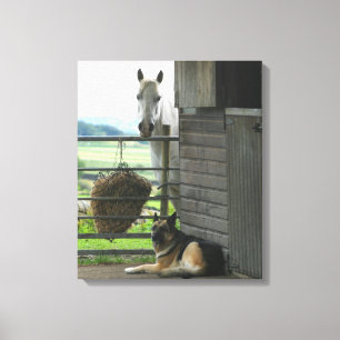 Hund und Pferd an der Ranch in Menton, Frankreich Leinwanddruck