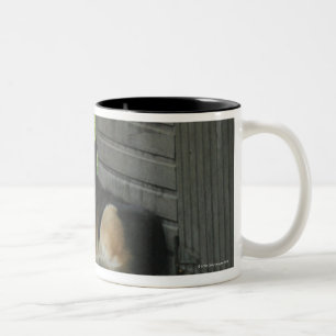 Hund und Pferd an der Ranch in Menton, Frankreich Zweifarbige Tasse