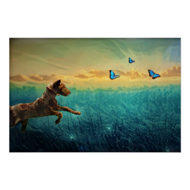 Hund und Schmetterling Poster (Vorderseite)