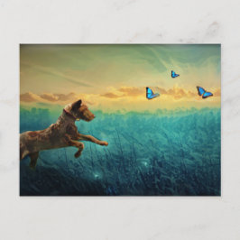 Hund und Schmetterling Postkarte