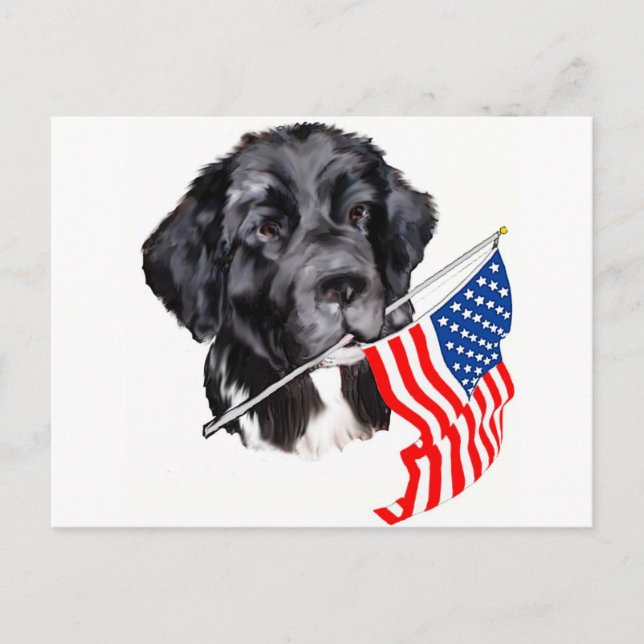 Hund von Neufundland mit Flaggenstaat Postkarte (Vorderseite)
