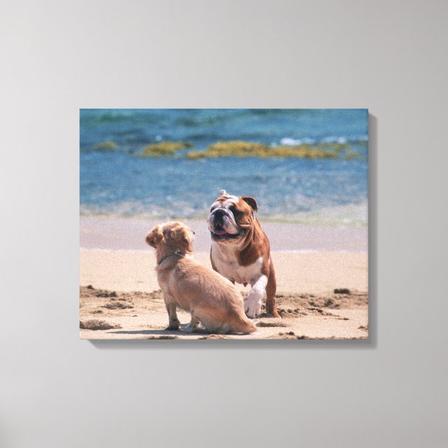 Hund von Sandy Beach Leinwanddruck (Vorderseite)
