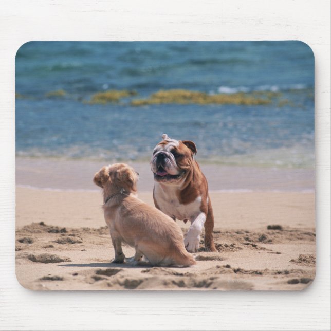 Hund von Sandy Beach Mousepad (Vorne)